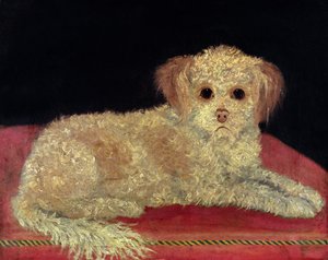 Un Terrier sur un coussin rouge, École provinciale